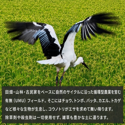 コウノトリ舞う田んぼで大自然が育てた有無ファームこだわり米5分づき10kg[No5698-2789]