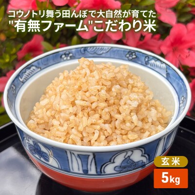 コウノトリ舞う田んぼで大自然が育てた有無ファームこだわり米 玄米 5kg[No5698-2790]