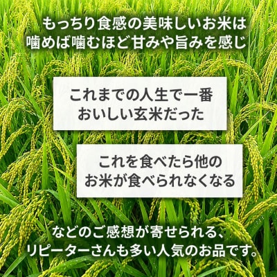 コウノトリ舞う田んぼで大自然が育てた有無ファームこだわり米 玄米 5kg[No5698-2790]