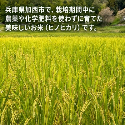 コウノトリ舞う田んぼで大自然が育てた有無ファームこだわり米 玄米 10kg[No5698-2791]