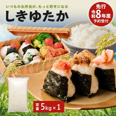 米 令和8年産 先行受付 しきゆたか 白米 5kg お米 精米[No5698-2799]