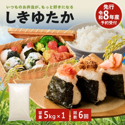 定期便 米 令和8年産 先行受付 しきゆたか 白米5kg 6か月連続お届け[No5698-2806]