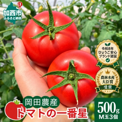 トマト 500g トマトの一番星 野菜 とまと 完熟 高糖度 甘い 受賞 [No5698-2880]