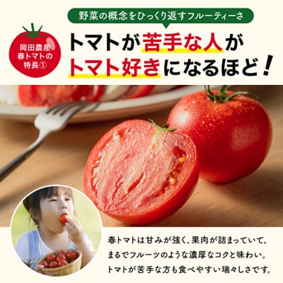 トマト 8kg トマトの一番星 野菜 とまと 完熟 高糖度 甘い 受賞 [No5698-2883]