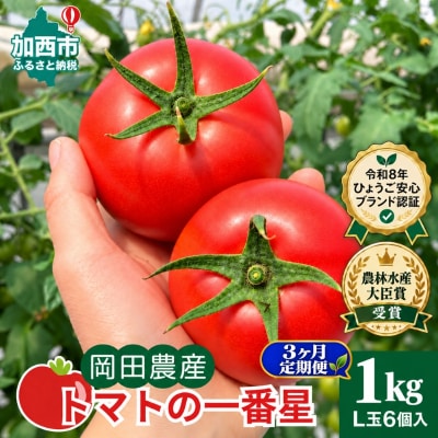 【3ヶ月定期便】トマト 1kg トマトの一番星 野菜 完熟 高糖度 甘い[No5698-2886]