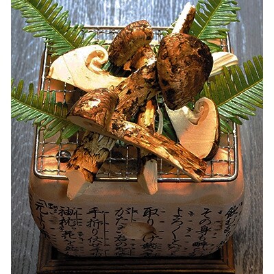 京都丹波牧場"平井牛"のすき焼きと焼き松茸 土瓶蒸しセット(容器付)