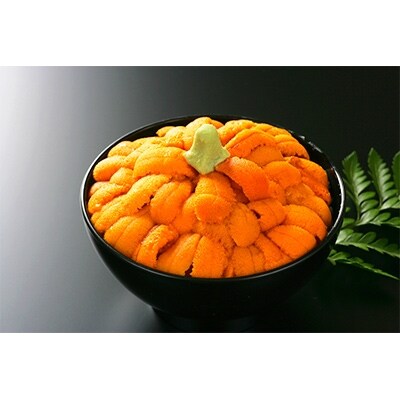 無添加 塩水蝦夷ばふんうに 100g×3p