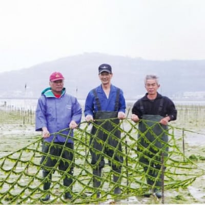 干潟の恵み!北中城の海の幸　琉球アーサスープ!毎日美味しく1年分【365個】