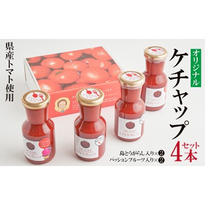 きたなかそう 県産トマト使用 オリジナルケチャップ2種4本セット お礼品詳細 ふるさと納税なら さとふる