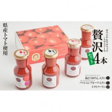 【きたなかそう】県産トマト使用　オリジナルケチャップ2種+トマトソースセット2本　贅沢4本セット