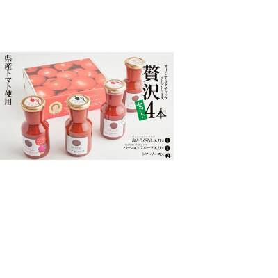 きたなかそう 県産トマト使用 オリジナルケチャップ2種 トマトソースセット2本 贅沢4本セット お礼品詳細 ふるさと納税なら さとふる