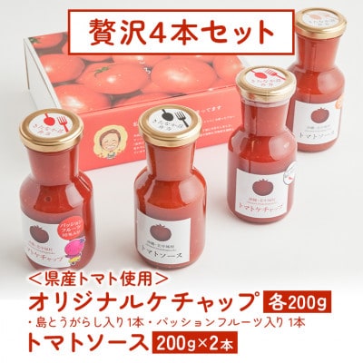 【きたなかそう】県産トマト使用 オリジナルケチャップ2種+トマトソースセット2本 贅沢4本セット
