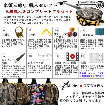 米須三線店】沖縄三線 初心者用コンプリートセット 本蛇皮『強化二重