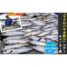 宮城船長と行く【マグロ釣りパヤオツアー】チャーター券(大人6名迄)