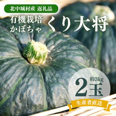北中城村産 有機栽培かぼちゃ 栗大将【2玉 3kg以上】