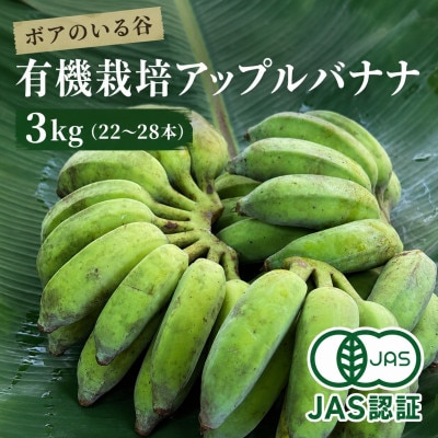 【2026年5月下旬より順次発送・JAS認証】有機栽培アップルバナナ3kg(22～28本)