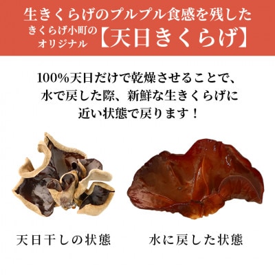 天日きくらげ【40g×3袋】　きくらげ小町