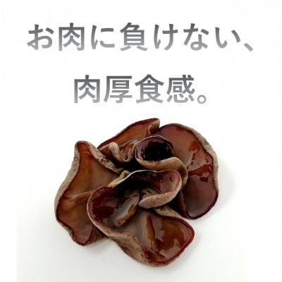 生きくらげ　300g×3セット　沖縄県北中城村産