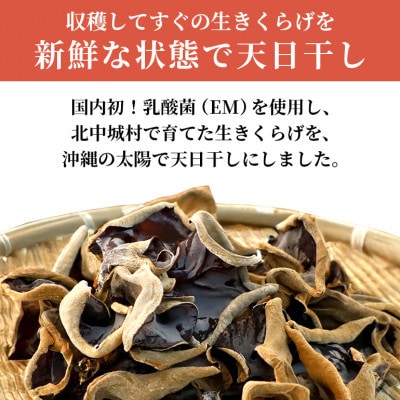 天日きくらげ【40g×6袋】　きくらげ小町