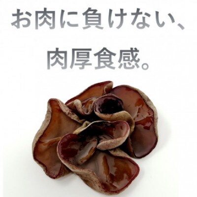 生きくらげ　300g×6セット　沖縄県北中城村産