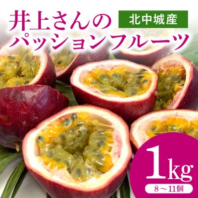 井上さんのパッションフルーツ　約1kg(8～11個)