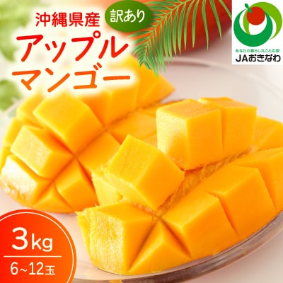 【2026年6月から順次発送・訳あり】JAおきなわ厳選 アップルマンゴー3.0kg(6～12玉)
