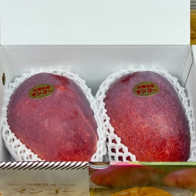 【2026年6月から順次発送・化粧箱】JAおきなわ厳選 秀品アップルマンゴー1kg(2～3玉)