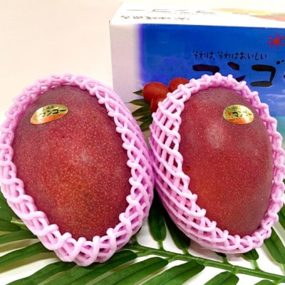 【2026年6月から順次発送・化粧箱】JAおきなわ厳選 秀品アップルマンゴー1kg(2～3玉)