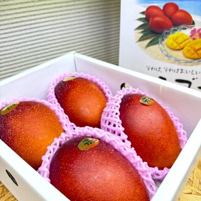 【2026年6月から順次発送・化粧箱】JAおきなわ厳選 秀品アップルマンゴー2kg(4～5玉)