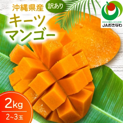 【2026年8月から順次発送・訳あり】JAおきなわ厳選 幻のキーツマンゴー2kg(2～3玉)