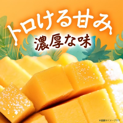 【2026年8月から順次発送・訳あり】JAおきなわ厳選 幻のキーツマンゴー2kg(2～3玉)