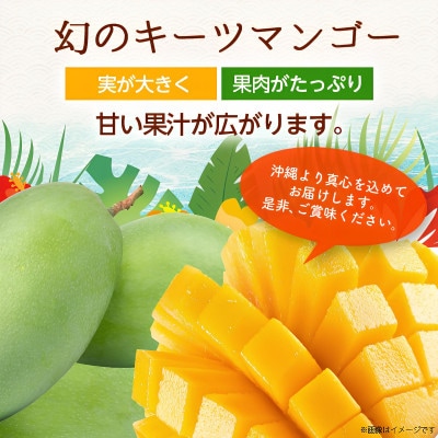 【2026年8月から順次発送・訳あり】JAおきなわ厳選 幻のキーツマンゴー2kg(2～3玉)