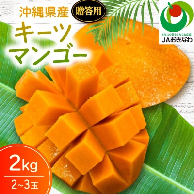 【2026年8月から順次発送・贈答用】JAおきなわ厳選 幻のキーツマンゴー2kg(2～3玉)
