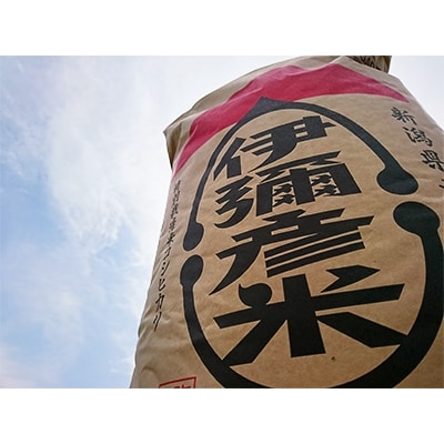 【令和6年産・皇室献上米 伊彌彦米コシヒカリ】玄米30kg　(2018年新嘗祭献上) 新潟県 弥彦村