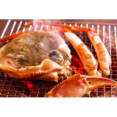 大満足!松葉ガニ堪能セット 中小サイズ 【2020年発送】