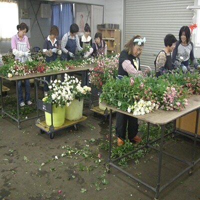 【産地直送】薔薇の花束(赤)25本