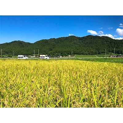 あさひのお米食べ比べセット