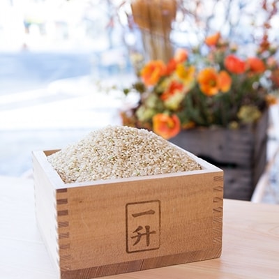 飯田下伊那特産品種　お米「天竜乙女」正味10k