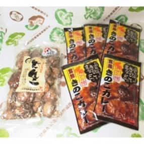 豊後きのこカレーのお礼品 返礼品一覧 ふるさと納税サイト さとふる