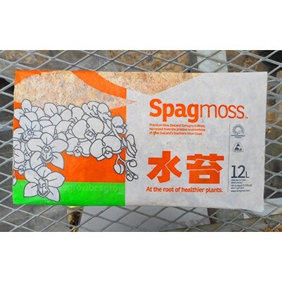 ★胡蝶蘭を育てようセット★【苗×1株】【水コケ×1】【肥料×1】東北・北陸へお届け専用