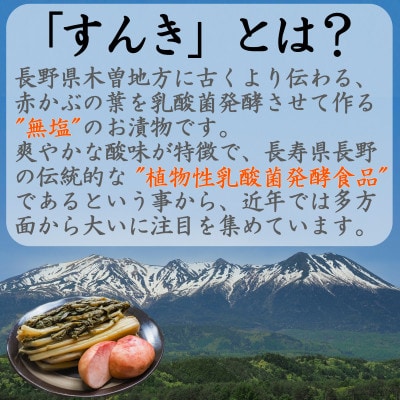木曽のすんき餃子(4パックセット)