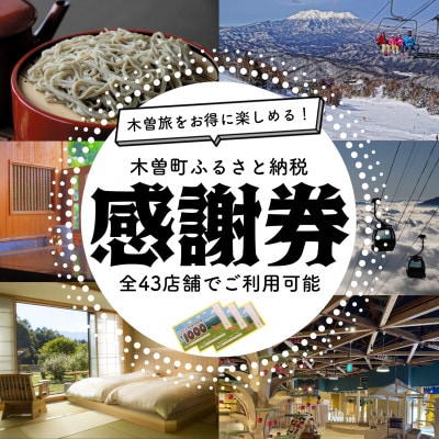 木曽町ふるさと納税感謝券(9,000円分)