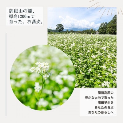 【開田高原】在来品種の開田早生を使用した「かいだそば」5セット希少価値高め!