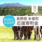 【返礼品なし】長野県木曽町応援寄附金(3,000円)