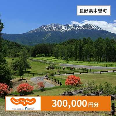 【じゃらんふるさと納税クーポン】 長野県木曽町でつかえる300,000円 クーポン