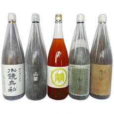 球磨焼酎　松の泉　飲み比べ5本セット(各1800ml)