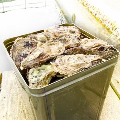 能登牡蠣 殻付 牡蠣 一斗缶 約10kg 約80 100個 専用ナイフ 片手用軍手付 加熱用 お礼品詳細 ふるさと納税なら さとふる 能登牡蠣 殻付 牡蠣 一斗缶 約10kg 約80 100個 専用ナイフ 片手用軍手付 加熱用 お礼品詳細 ふるさと納税なら さとふる