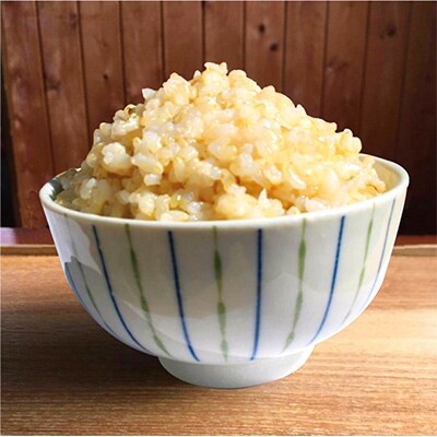 【令和6年産】キヌヒカリ　玄米10kg(5kg×2袋)