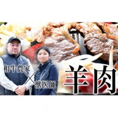 国産サフォーク種ジンギスカン肉500g ホゲット 羊肉 冷凍