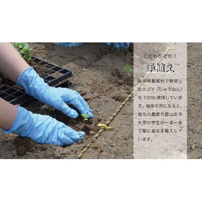 【純国産】エゴマ油(140g)×2本セット